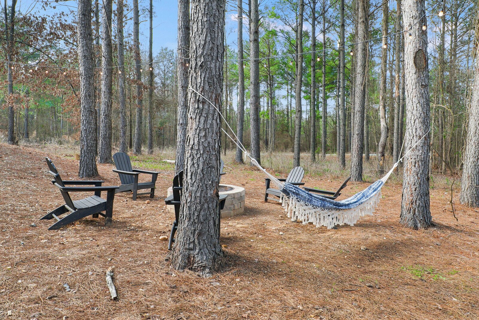 Hammock, fire pit, and Adirondack chairs in the pines